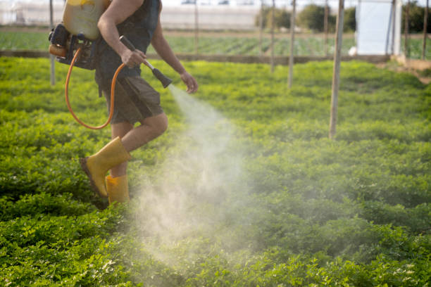 Best Best Pest Control Companies  in Port Charlotte, FL