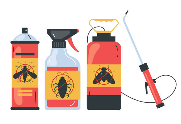 Trusted Port Charlotte, FL Pest Control Experts