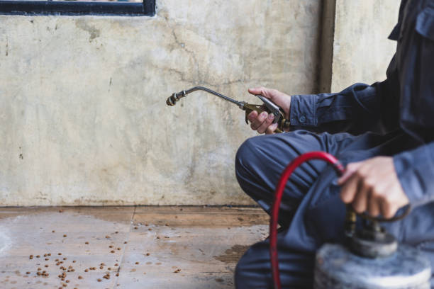 Best Affordable Pest Control Services  in Port Charlotte, FL